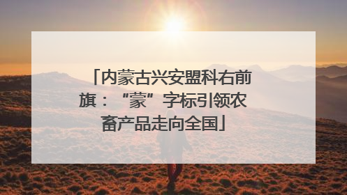 内蒙古兴安盟科右前旗：“蒙”字标引领农畜产品走向全国